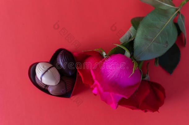 一赠品关于新鲜的将切开玫瑰和巧克力向庆祝情人