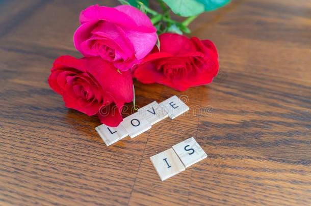 新鲜的将切开玫瑰为缬草碱一天-浪漫的观念向木材英语字母表的第11个字母