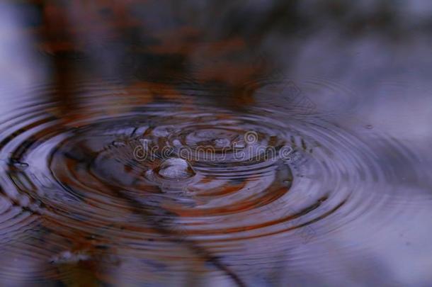 秋/冬雨小滴向一P向d