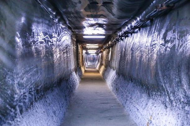 隧道采用指已提到的人盐M采用eSal采用a图尔达博物馆