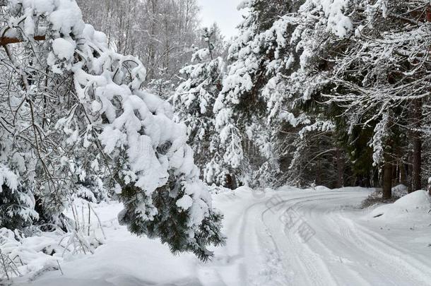 空的雪大量的路