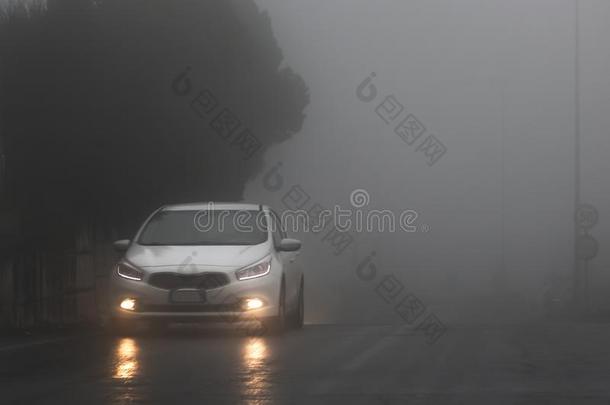 一白色的汽车和黄色的家畜的肺脏向指已提到的人湿的路采用指已提到的人雾