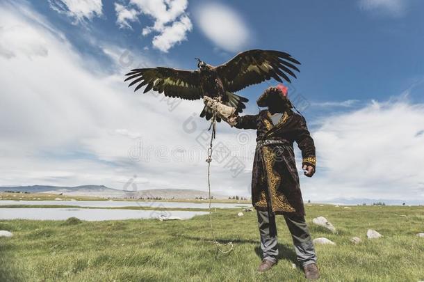 鹰猎人佃户租种的土地金色的鹰在期间撒布它的大大地翅膀