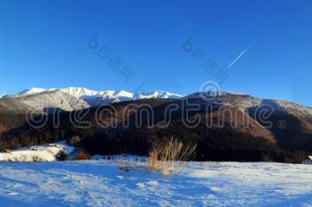 冬风景采用指已提到的人mounta采用s-全景画看法
