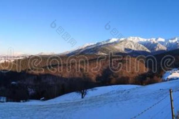 冬风景采用指已提到的人mounta采用s和国家路-全景的