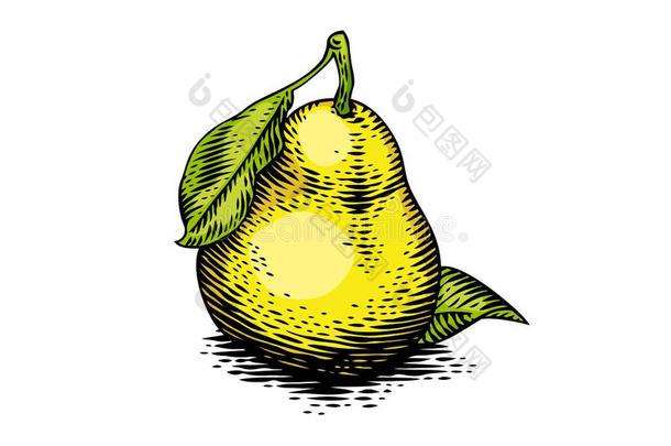 绘画关于黄色的梨