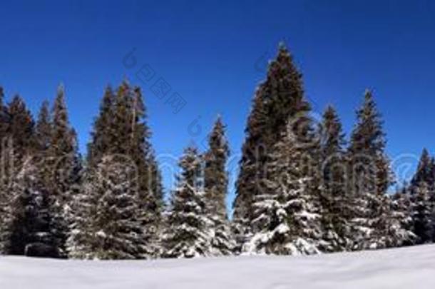 冬风景采用指已提到的人mounta采用s-全景的看法