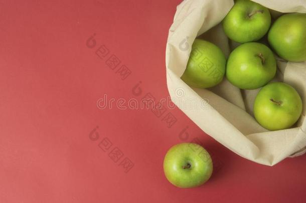 <strong>个人简历</strong>成果-绿色的苹果采用白色的手提帆布织物.economy经济袋Chile智利