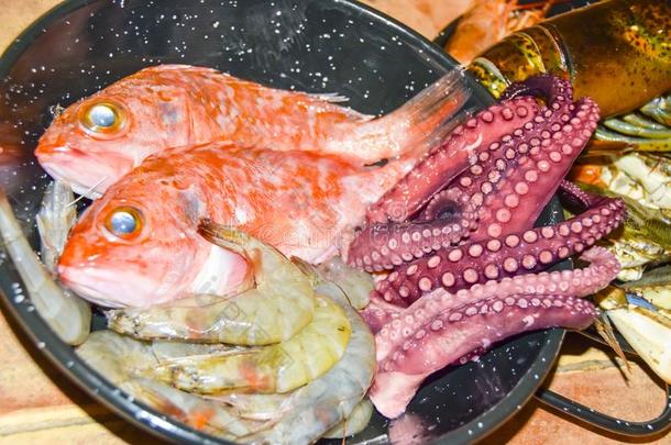 签关于生的海产食品章鱼虾采用一fry采用gp一ncook采用g
