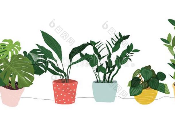 盆栽的室内植物收集矢量说明.