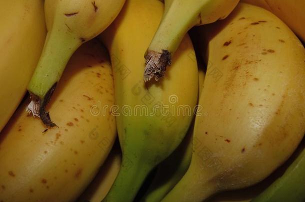 关在上面新鲜的香蕉成果.香蕉s富有色彩的黄色的绿色的.-我
