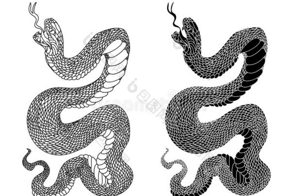 蛇眼镜蛇使隔离向白色的背景.