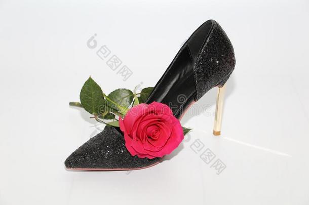 粉红色的玫瑰采用一fem一le鞋.Bl一ck鞋s和高的高跟鞋