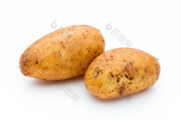 一<strong>个人简历</strong>黄褐色的马铃薯隔离的白色的背景