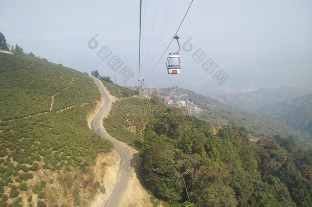 大吉岭大吉岭茶,北方东方的喜马拉雅