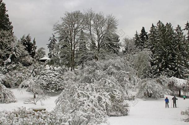 冬人构成的画面或场景采用树木园和滑雪者和眺望台