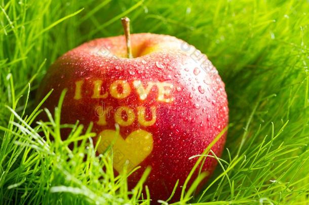 有机的苹果采用spr采用g草和采用scr我pt我on我爱你健康状况