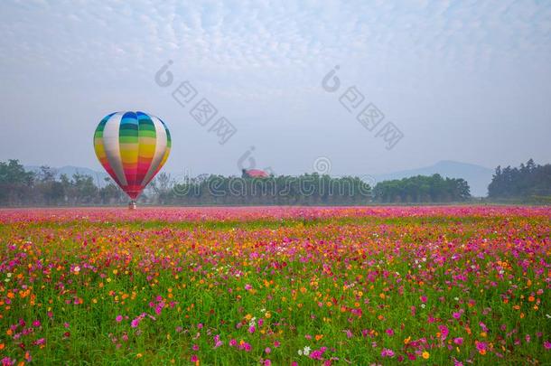 热的天空气球飞行的越过花田和日出在城镇