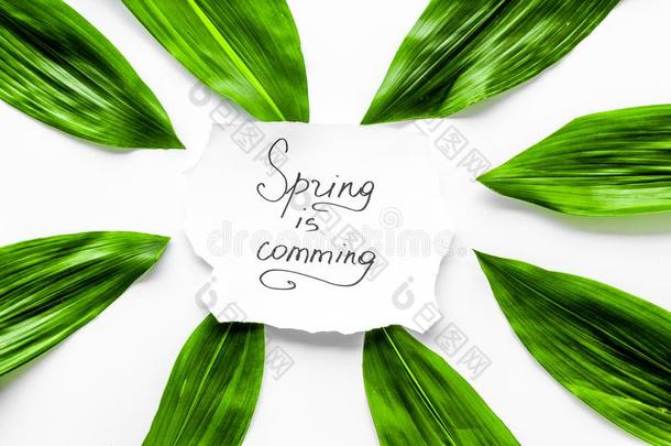 春季观念.手字体文本春季是（be的三单形式即将到来的在近处绿色的