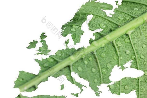 欧洲monopellantaccessorypowersupply单元<strong>推进</strong>剂附件能量供给和叶子植物