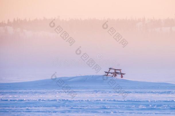 孤单的野餐郊游表采用雪向冷冻的湖,耶洛奈夫