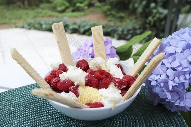 新鲜的冰乳霜和有果味的悬钩子,一餐后甜食采用夏季