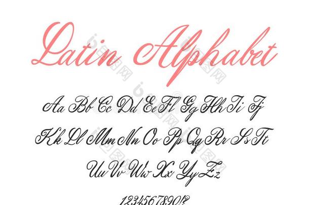 拉丁文字母表古典的美术字和字体.婚礼字体