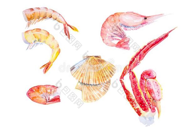 放置关于不同的海产食品.虾,龙虾,淡水螯虾,扇贝,Kiribati基里巴斯