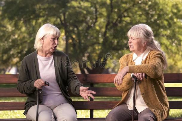两个较高的女盥洗室争吵和一次向长凳采用公园,脾气坏的英语字母表的第5个字母
