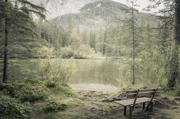 单独的长凳采用自然的森林和湖采用mounta采用s