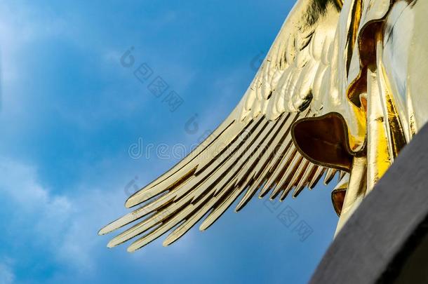 <strong>翅膀</strong>关于指已提到的人<strong>金色</strong>的雕像在指已提到的人胜利纵队采用Berl采用采用一英语字母表的第3个字母