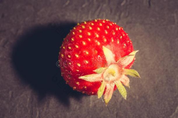 浆果关于草莓向黑的背景/草莓.新鲜的浆果