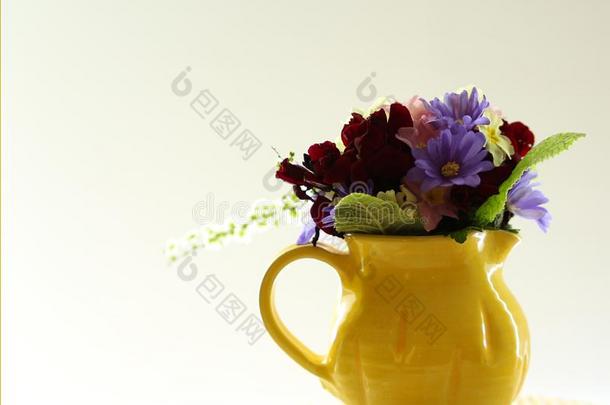 小的花朵关于春季花采用一sm一ll,黄色的n.大罐向一w采用dows