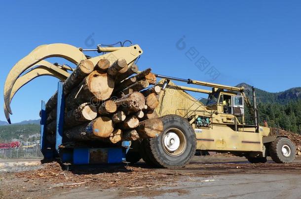 森林机器货车伐木搬运业木材木材蓝色天复制品空间