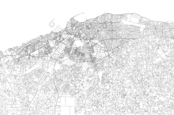 卫星地图关于<strong>硅藻</strong>土.利比亚.城市大街关于指已提到的人城镇中心