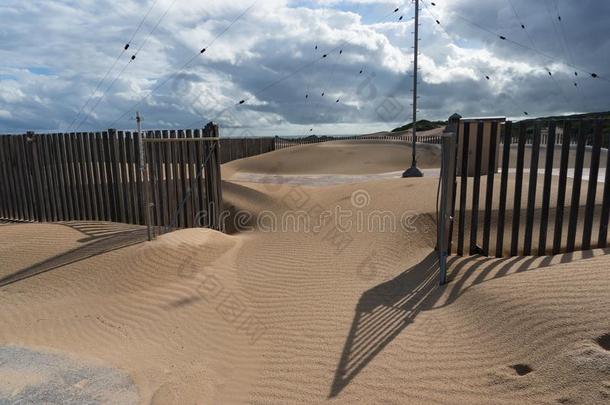 沙沙丘侵入指已提到的人土地沙漠化环境的是（be的三单形式