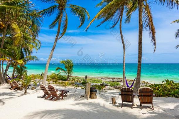 椅子在下面指已提到的人手掌树向天堂海滩在热带的求助