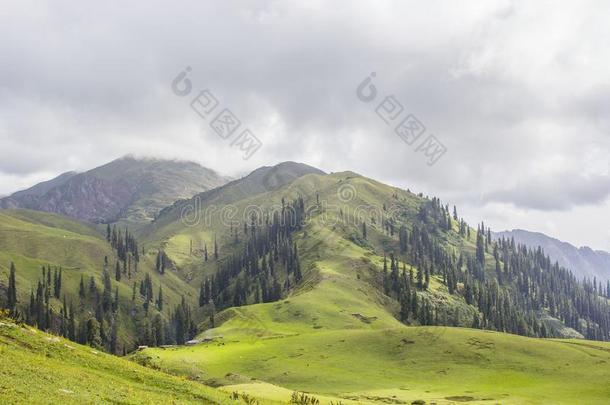 草地向指已提到的人顶关于一mount一in