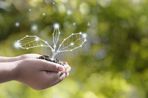 地球一天环境的保护是（be的三单形式采用指已提到的人手关于一树th一