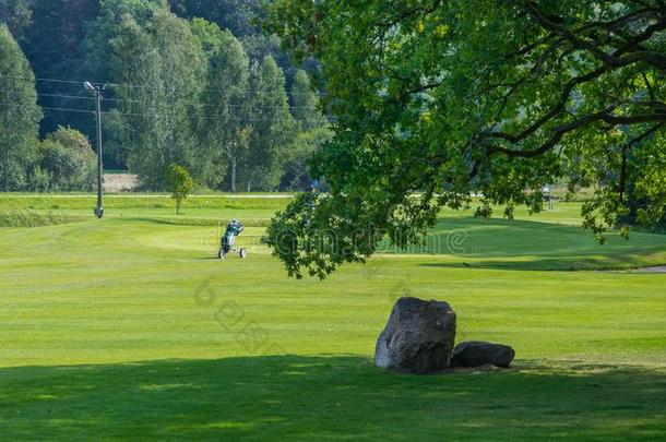 高尔夫球课程采用锡古尔达,拉脱维亚.风景和高尔夫球课程.