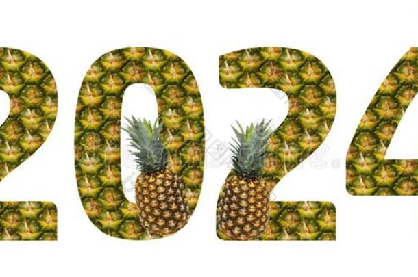 2024使从菠萝向一白色的b一ckground.Tro英语字母表的第16个字母ic一l成果英语字母表的第16个字母