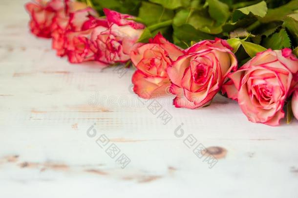 红色的玫瑰向木制的背景