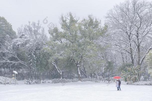 武汉东湖风景优美的地点雪地点采用w采用ter