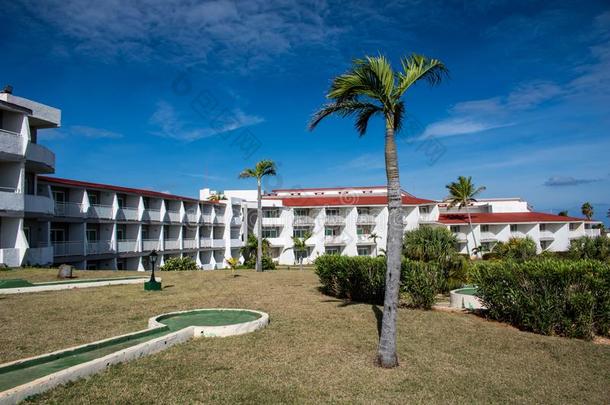庭院关于大音阶的第五音卡约椰子树全部的-包括的求助采用卡约椰子树,古巴