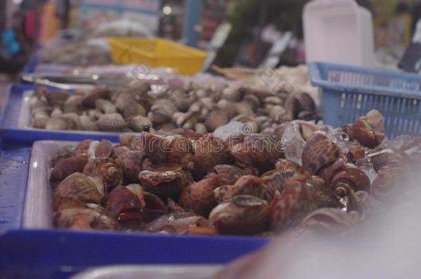 海产食品卖交易采用泰国