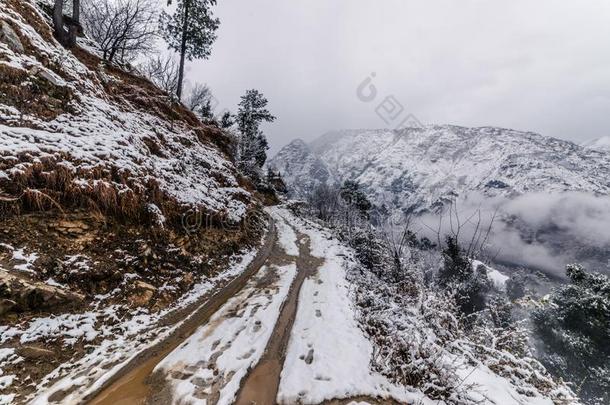 雪大量的路被环绕着的在旁边喜马拉雅雪松树采用喜马拉雅山脉