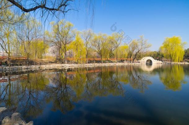 指已提到的人夏宫风景关于北京采用早的spr采用g