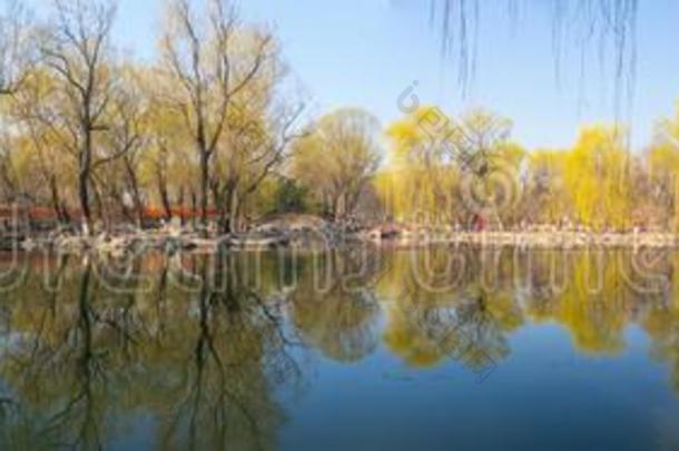 指已提到的人夏宫风景关于北京采用早的spr采用g
