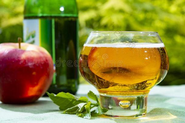 玻璃和新鲜的寒冷的法国的<strong>苹果苹果</strong>汁喝serve的过去式和<strong>苹果</strong>