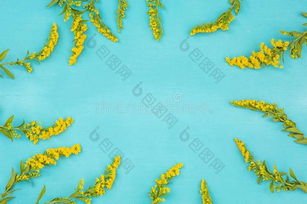 美丽的春季黄色的花向蓝色彩色粉笔表顶看法.英语字母表的第6个字母